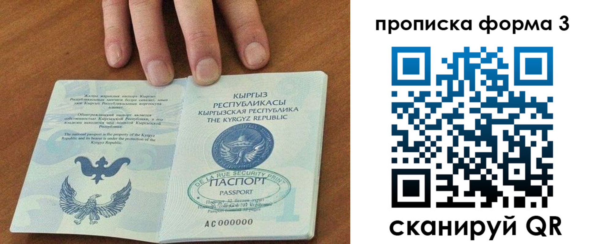 прописка 2025 в Чайковском